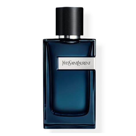 ysl mens intense|ysl y intense fragrantica.